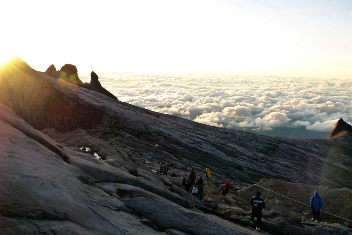 كيف تجعل لابتوبك القديم أسرع من الجديد؟ ترقية SSD و RAM في مويلح